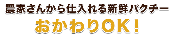 農家さんから仕入れる新鮮パクチーおかわりOK！